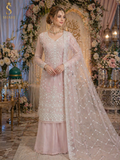 Parizay | KamDani Stylish Dress